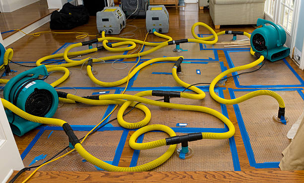 Professional Basement Flood Cleanup technician working in Tupman, CA